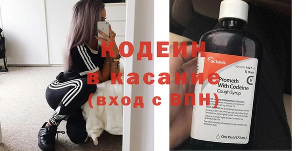 прущие грибы Осинники