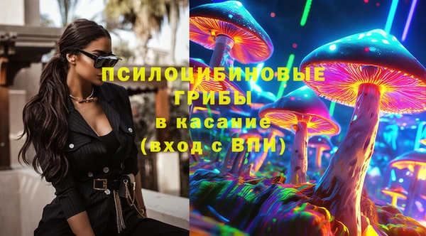 твердый Осташков