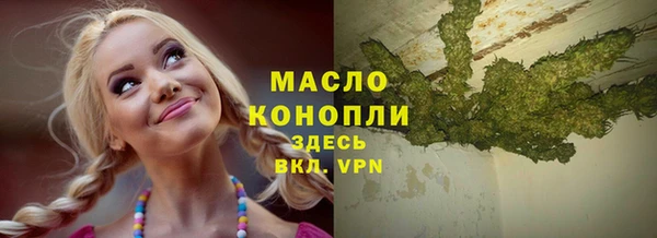 твердый Осташков