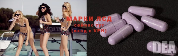 прущие грибы Осинники