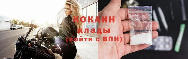 твердый Осташков