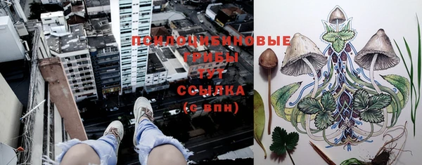 твердый Осташков