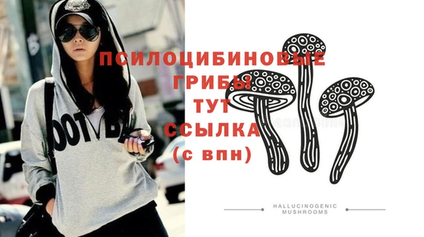 тгк Пестово