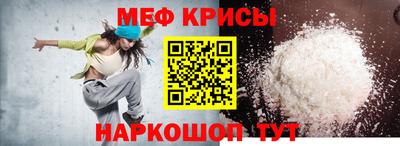 спиды Гатчина