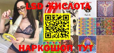 спиды Гатчина