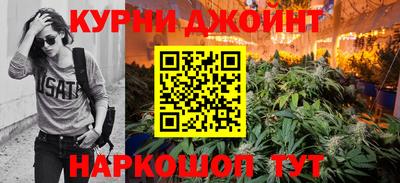 бошки Гагарин