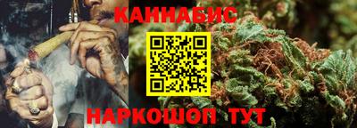 бошки Гагарин