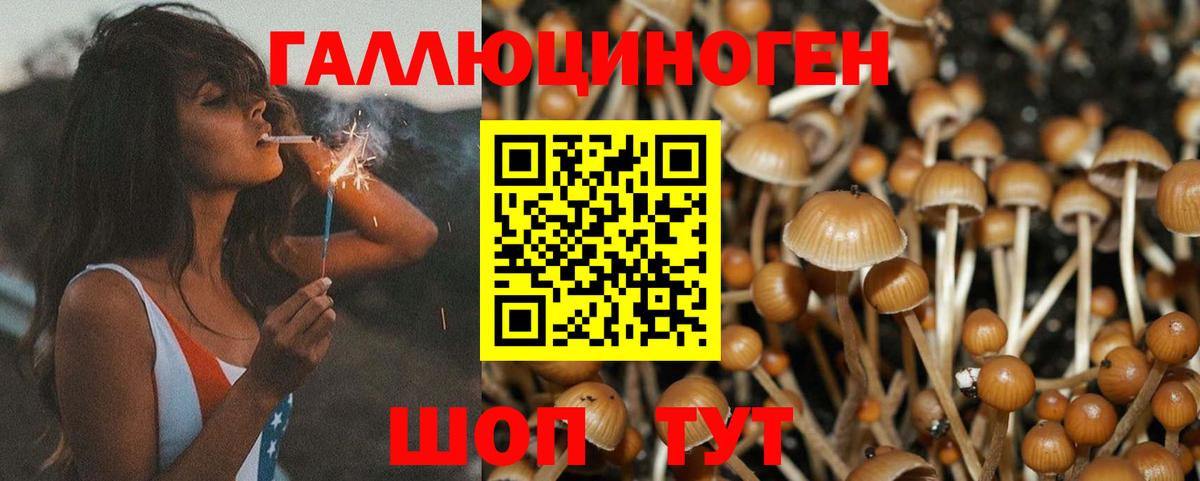 Псилоцибиновые грибы Magic Shrooms  Галлюциногенные грибы прущие грибы  Вход с VPN  купить   Симферополь 